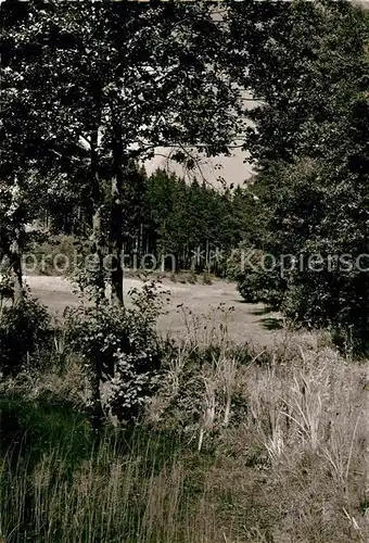 AK / Ansichtskarte Bobengruen Froschbachtal Kat. Bad Steben