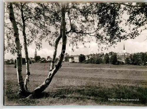 AK / Ansichtskarte Naila Panorama Kat. Naila