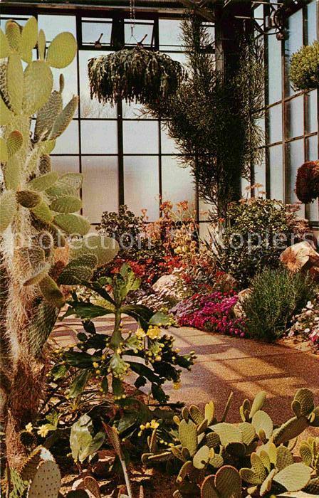 Ak Ansichtskarte Kakteen Succulent House Longwood Gardens Kennet