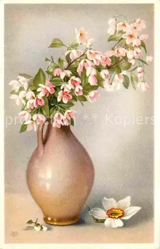 AK / Ansichtskarte Blumen Vase Weisse Narzisse Kat. Pflanzen