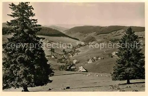 AK / Ansichtskarte Todtnauberg  Kat. Todtnau