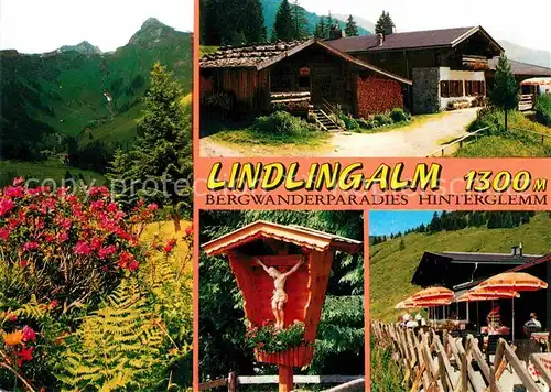 AK / Ansichtskarte Hinterglemm Saalbach Bergrestaurant Lindlingalm