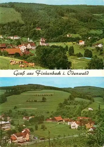 AK / Ansichtskarte Finkenbach Odenwald Gasthaus Zur Traube  Kat. Rothenberg