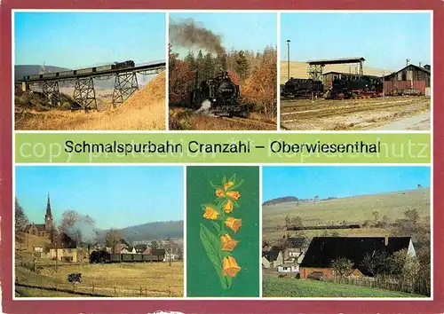 AK / Ansichtskarte Lokomotive Schmalspurbahn Cranzahl Oberwiesenthal Kat. Eisenbahn