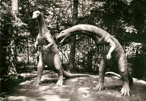 AK / Ansichtskarte Dinosaurier Plateosaurus  Kleinwelka  Kat. Tiere