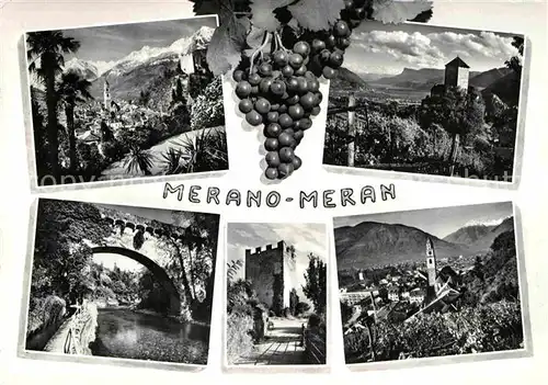 AK / Ansichtskarte Meran Merano Panorama Burg