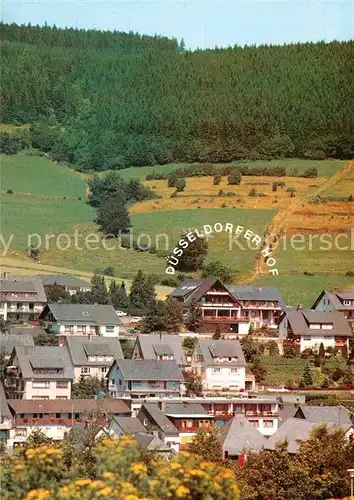 AK / Ansichtskarte Willingen Sauerland Hotel Duesseldorfer Hof  Kat. Willingen (Upland)