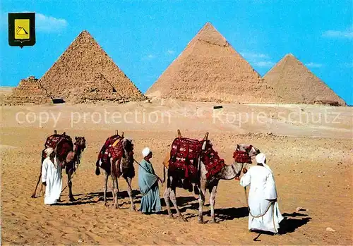 AK / Ansichtskarte Kamele Giza Kheops Khephren Mycerinos Pyramids Kat. Tiere