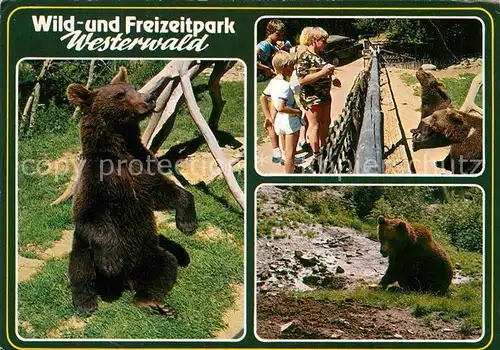 AK / Ansichtskarte Baeren Wild  und Freizeitpark Westerwald Gackenbach  Kat. Tiere
