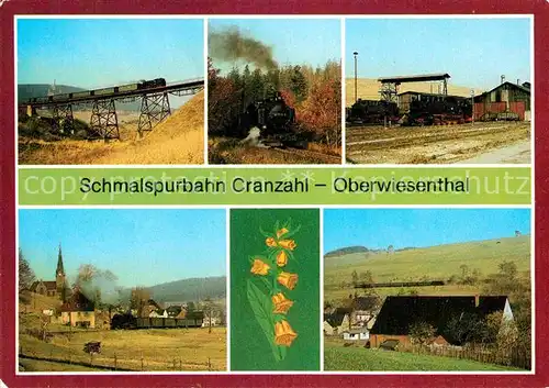 AK / Ansichtskarte Lokomotive Schmalspurbahn Cranzahl Oberwiesenthal  Kat. Eisenbahn