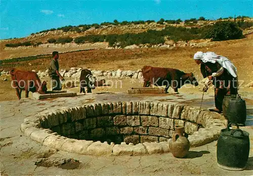 AK / Ansichtskarte Typen Arabien Femme arabe puisant l eau du Puits Brunnen Kuehe  Kat. Typen
