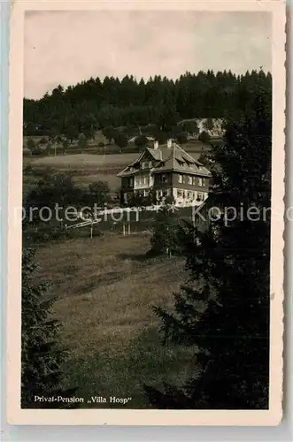AK / Ansichtskarte Falkau Pension Villa Hosp Kat. Feldberg (Schwarzwald)