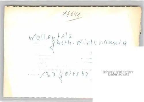 AK / Ansichtskarte Wallenfels Oberfranken Gasthaus Wirtshamler Kat. Wallenfels