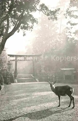 AK / Ansichtskarte Nara Second Gate Kasuga Shrine Kat. Japan
