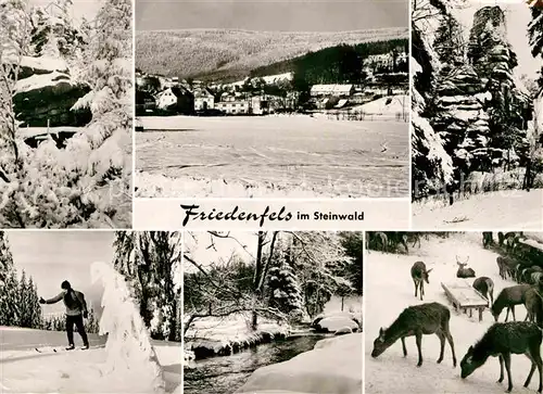 AK / Ansichtskarte Friedenfels Skipiste Rotwild Panorama  Kat. Friedenfels