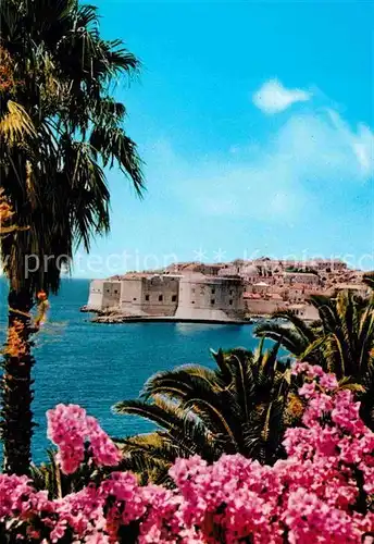 AK / Ansichtskarte Dubrovnik Ragusa Panorama Blick zur Festung Kat. Dubrovnik