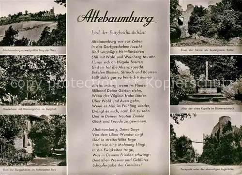 AK / Ansichtskarte Alsenz Burgruine Altebaumburg Kat. Alsenz