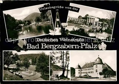 AK / Ansichtskarte Bad Bergzabern Schwanenweiher Kurpark Cafe Wandelhalle Wassertrete im Kurpark Kat. Bad Bergzabern