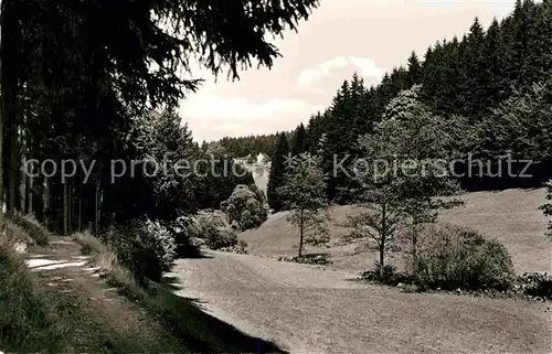 AK / Ansichtskarte Grafengehaig Rehbachtal Kat. Grafengehaig