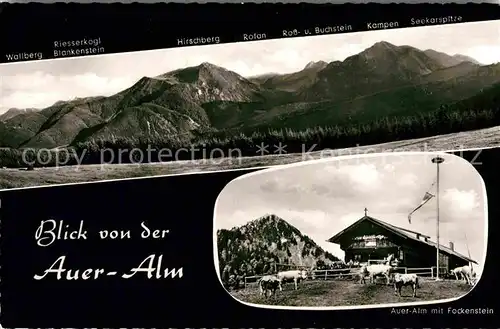 AK / Ansichtskarte Auer Alm mit Fockenstein
