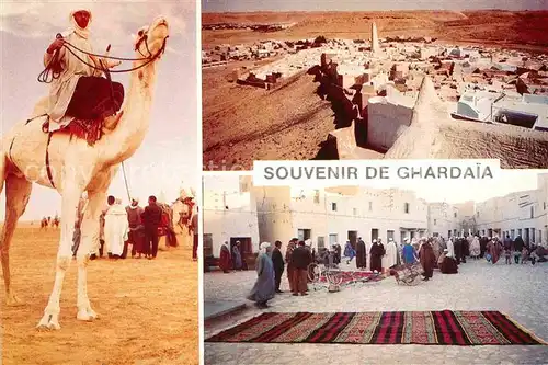 AK / Ansichtskarte Ghardaia Camelier Place du Marche Kat. Algerien