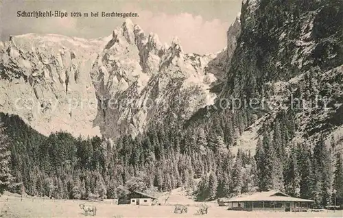 AK / Ansichtskarte Berchtesgaden Scharitzkehl Alpe Berchtesgadener Alpen Kat. Berchtesgaden