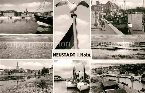 AK / Ansichtskarte Neustadt Holstein Hafen Fischkutter Moewe Strand Kat. Neustadt in Holstein