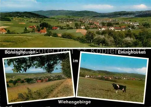 AK / Ansichtskarte Boerninghausen Panorama mit Eininghausen Kat. Preussisch Oldendorf
