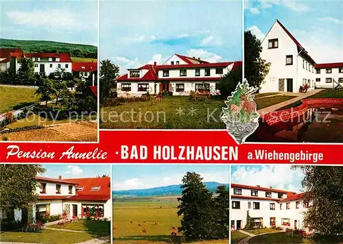 AK / Ansichtskarte Bad Holzhausen Luebbecke Pension Annelie Teilansichten Kat. Preussisch Oldendorf