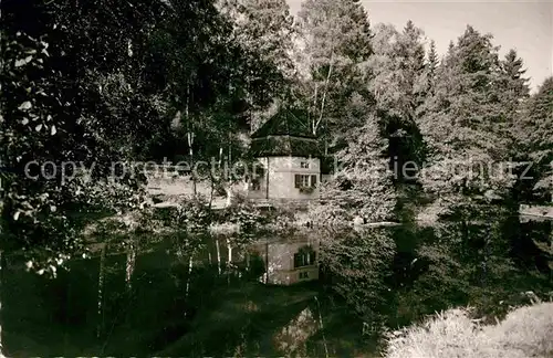 AK / Ansichtskarte Lichtenberg Oberfranken Teich Kat. Lichtenberg