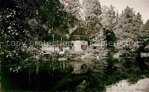 AK / Ansichtskarte Lichtenberg Oberfranken Hoelle Teich Kat. Lichtenberg