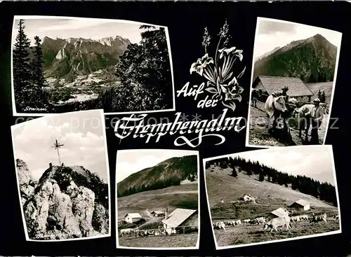 AK / Ansichtskarte Garmisch Partenkirchen Steppberg Alm Kat. Garmisch Partenkirchen
