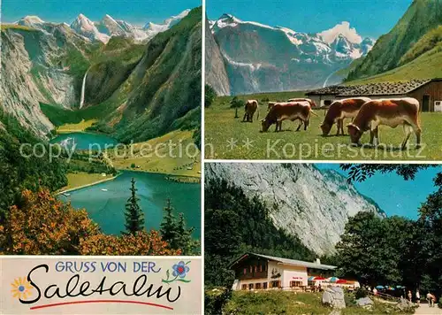 AK / Ansichtskarte Berchtesgaden Saletalm am Koenigssee Kaunerwand Hagengebirge Teufelshoerner Kat. Berchtesgaden