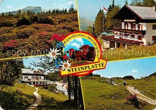 AK / Ansichtskarte Waidring Tirol Alpengasthof Steinplatte Wanderweg Landschaftspanorama Kat. Waidring