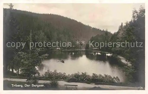 AK / Ansichtskarte Triberg Schwarzwald Der Bergsee Kat. Triberg im Schwarzwald