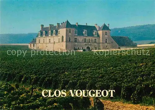 AK / Ansichtskarte Vougeot Clos Weingebiet Kat. Vougeot