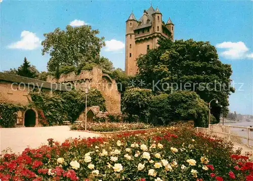 AK / Ansichtskarte Eltville Rhein Burg mit Rosenanlagen Kat. Eltville am Rhein