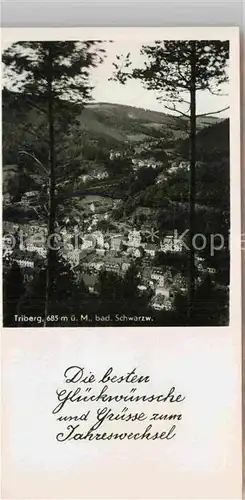 AK / Ansichtskarte Triberg Schwarzwald Panorama Kat. Triberg im Schwarzwald