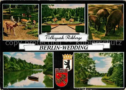 AK / Ansichtskarte Wedding Volkspark Rehberge Wild Kat. Berlin
