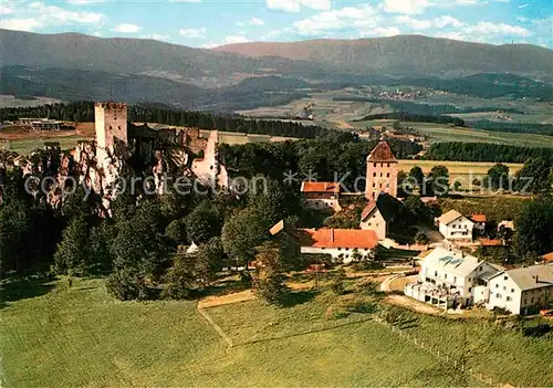 AK / Ansichtskarte Regen Burgruine Weissenstein am Pfahl Kat. Regen