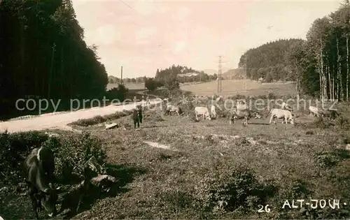 AK / Ansichtskarte Hindelang Rinderweide Kat. Bad Hindelang