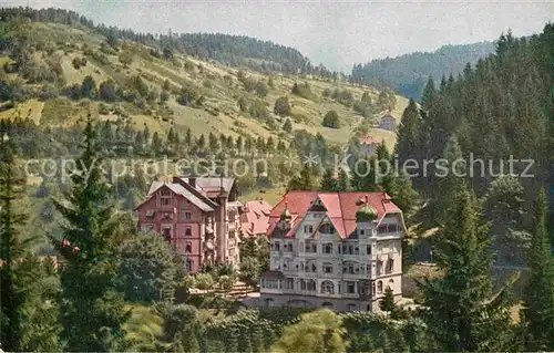 AK / Ansichtskarte Triberg Schwarzwald Schwarzwald Hotel  Kat. Triberg im Schwarzwald