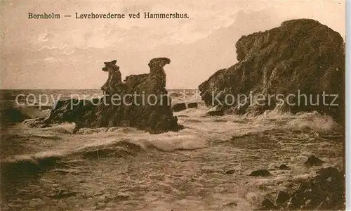 AK / Ansichtskarte Bornholm Lovehovederne ved Hammershus Kat. Daenemark
