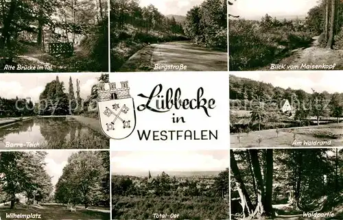 AK / Ansichtskarte Luebbecke Westfalen Maisenkopf Bergstrasse Barre teich Wilhelmplatz  Kat. Luebbecke
