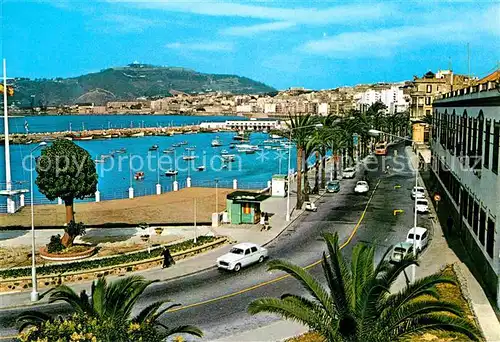 AK / Ansichtskarte Ceuta Paseo de Las Palmeras  Kat. Spanien