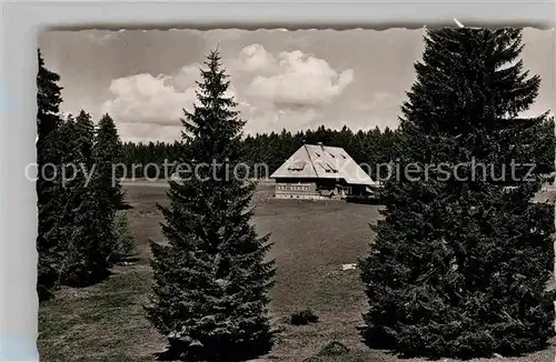 AK / Ansichtskarte Furtwangen Hoehengasthaus Martinskapelle Kat. Furtwangen im Schwarzwald