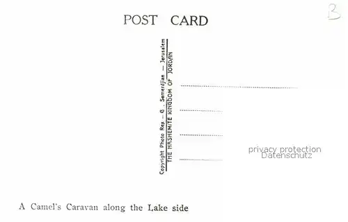 AK / Ansichtskarte Kamele Camel s Caravan Lake Side  Kat. Tiere