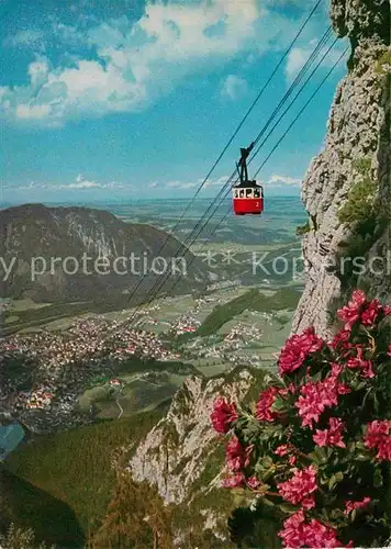 AK / Ansichtskarte Seilbahn Predigtstuhl Bad Reichenhall  Kat. Bahnen