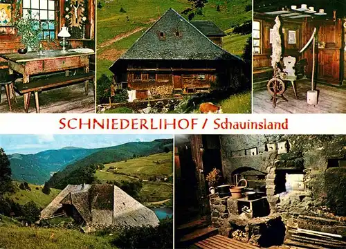 AK / Ansichtskarte Hofsgrund Schniederlihof Bauernhaus  Kat. Oberried