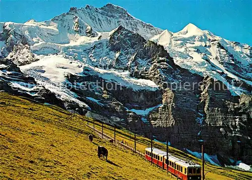 AK / Ansichtskarte Jungfraubahn Kleine Scheidegg Jungfrau  Kat. Jungfrau